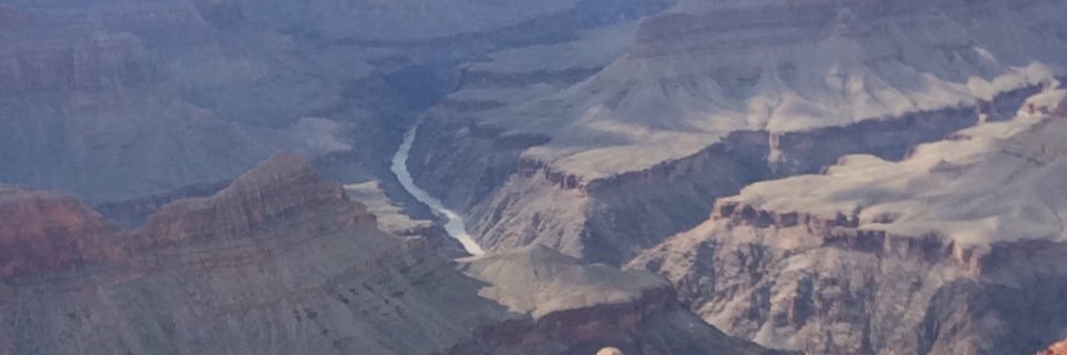 Constitutional Conservative 🇺🇸 banner