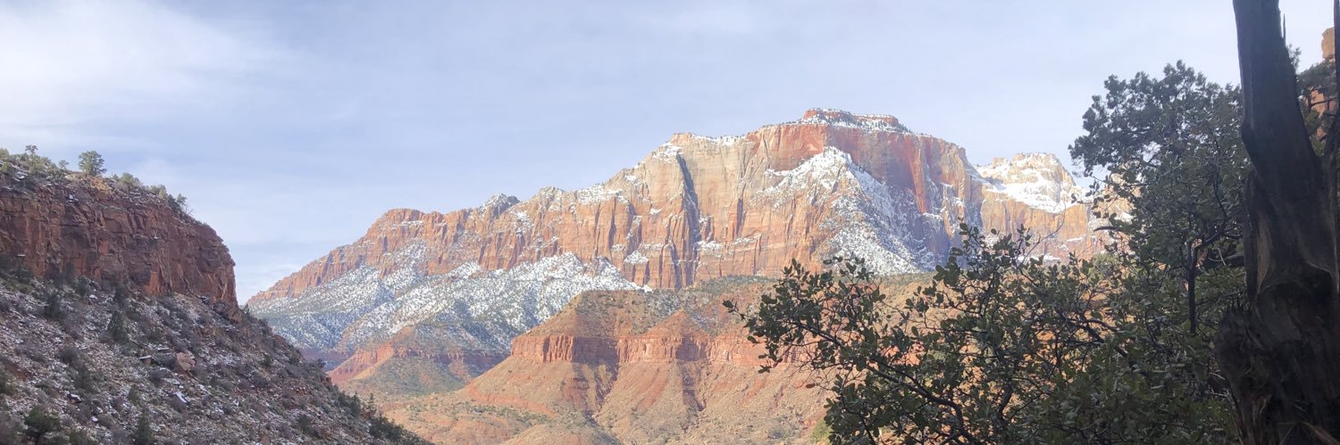 Tina Marriott banner