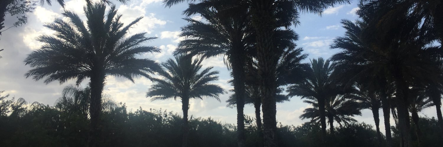 whaleyt's profile banner image