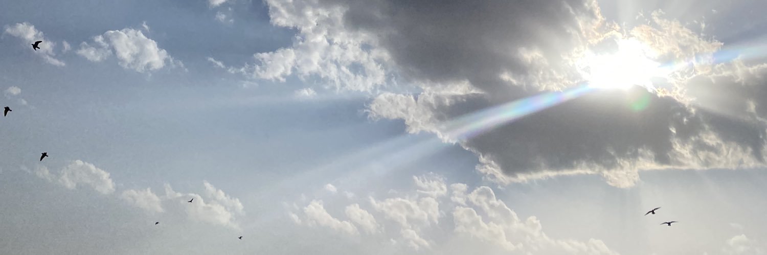 k530d's profile banner image