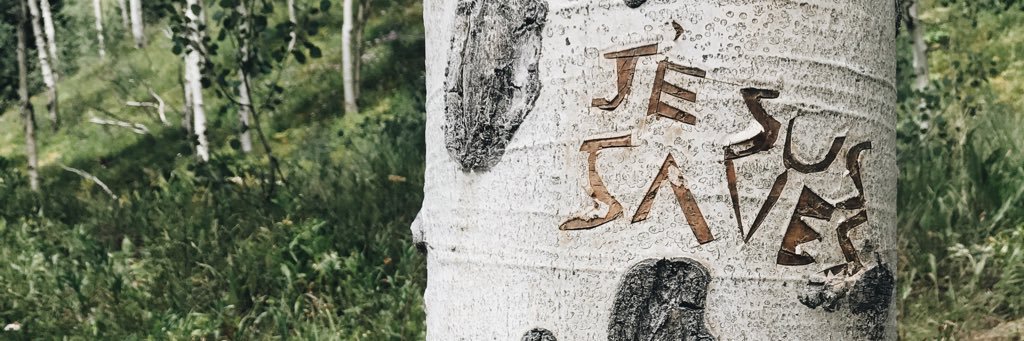 caitlinocon's profile banner image