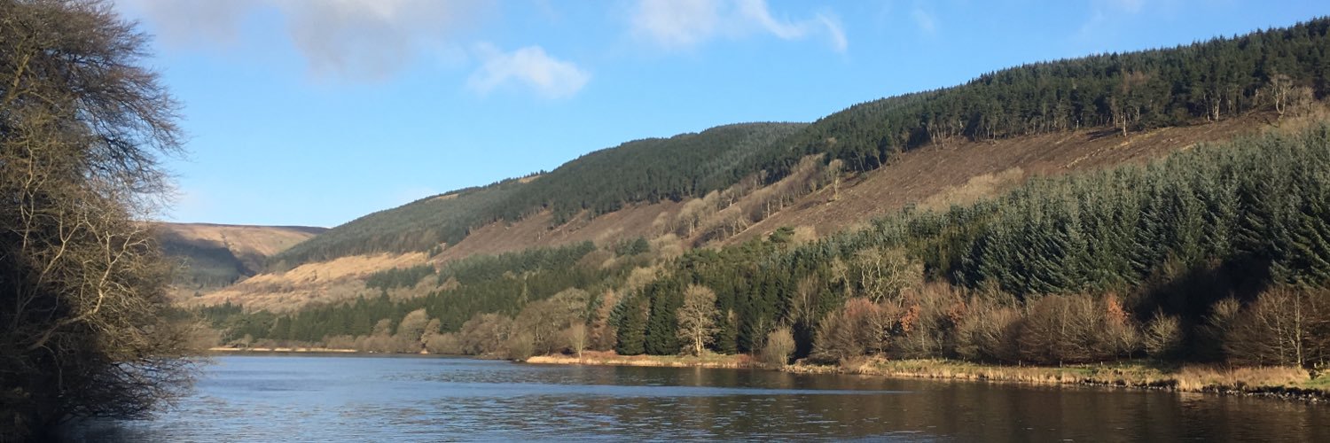 hillymott's profile banner image