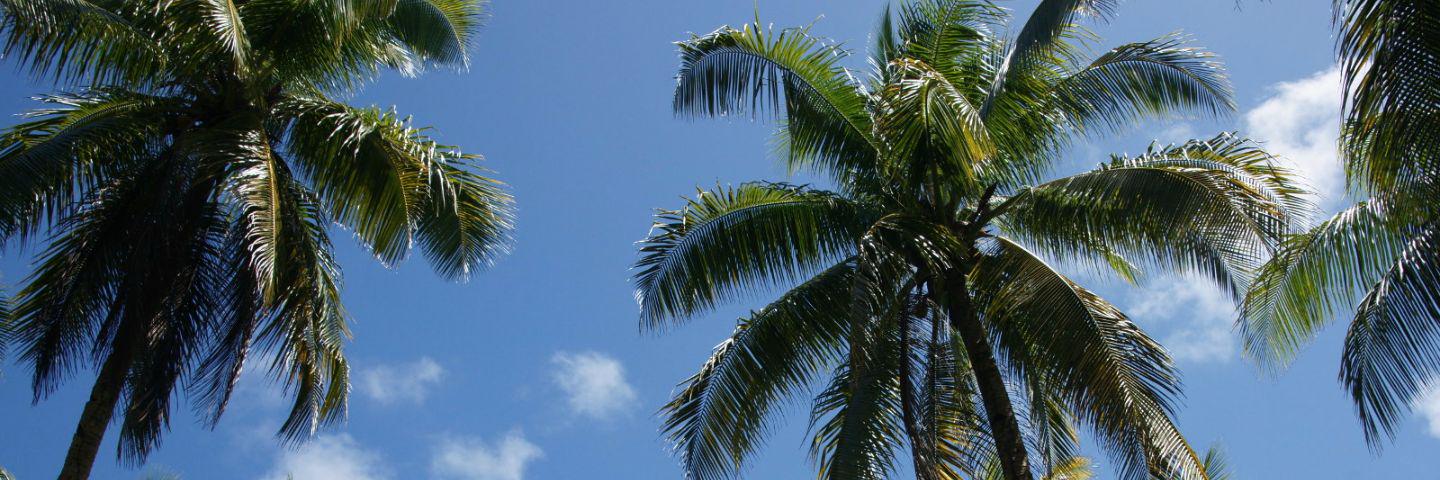 Aly618's profile banner image
