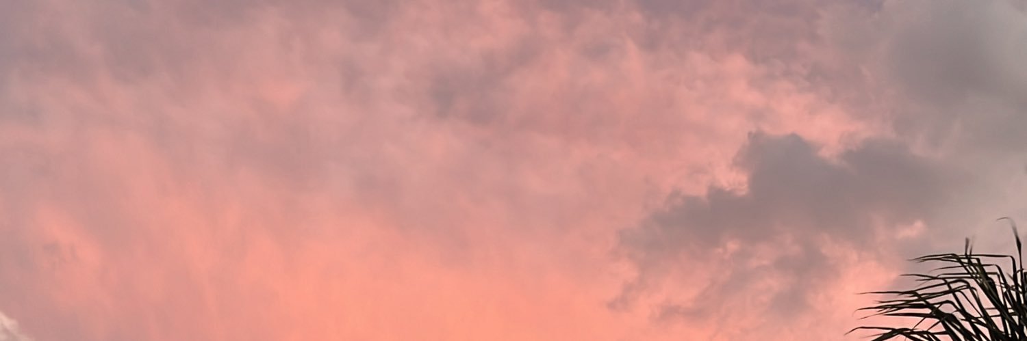 DlSCOQueeen's profile banner image