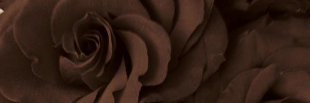stezzzi's profile banner image