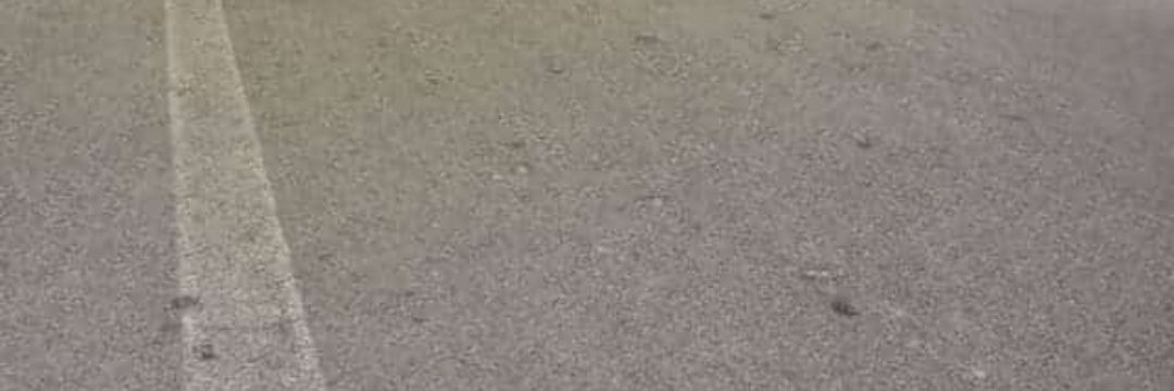 jirjoo's profile banner image