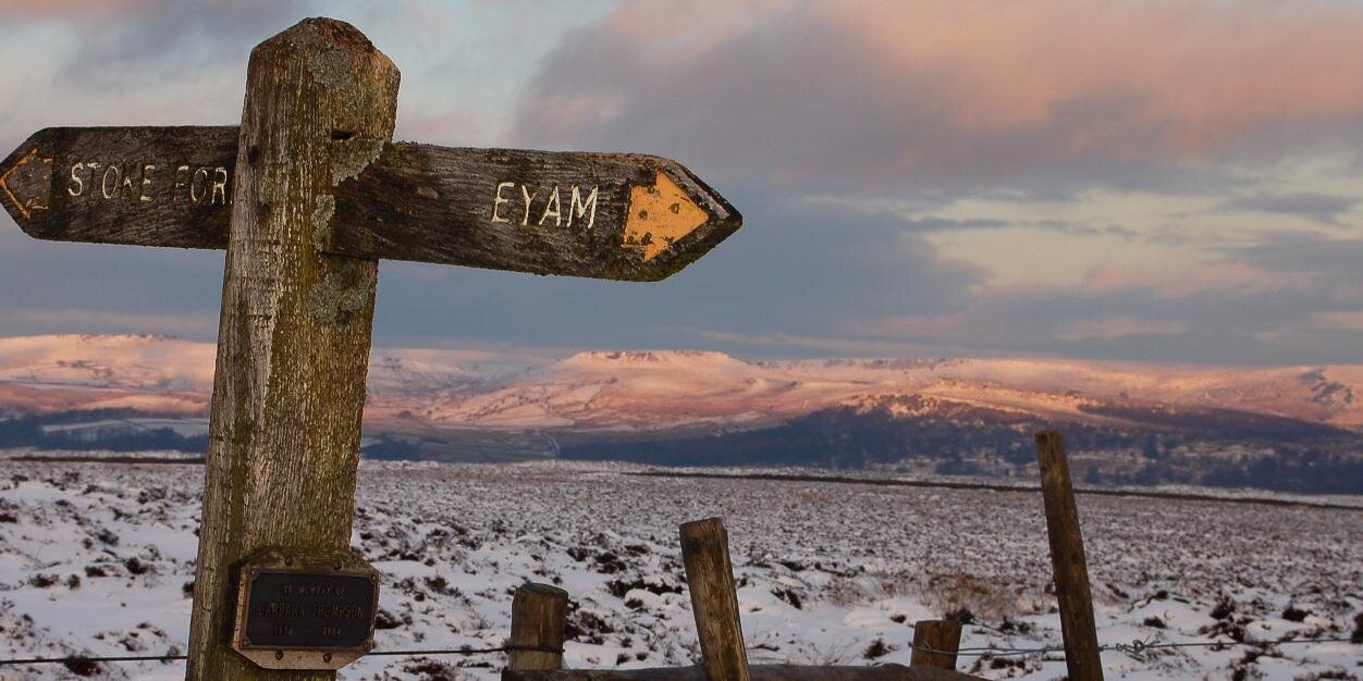 Steve Rothberg banner