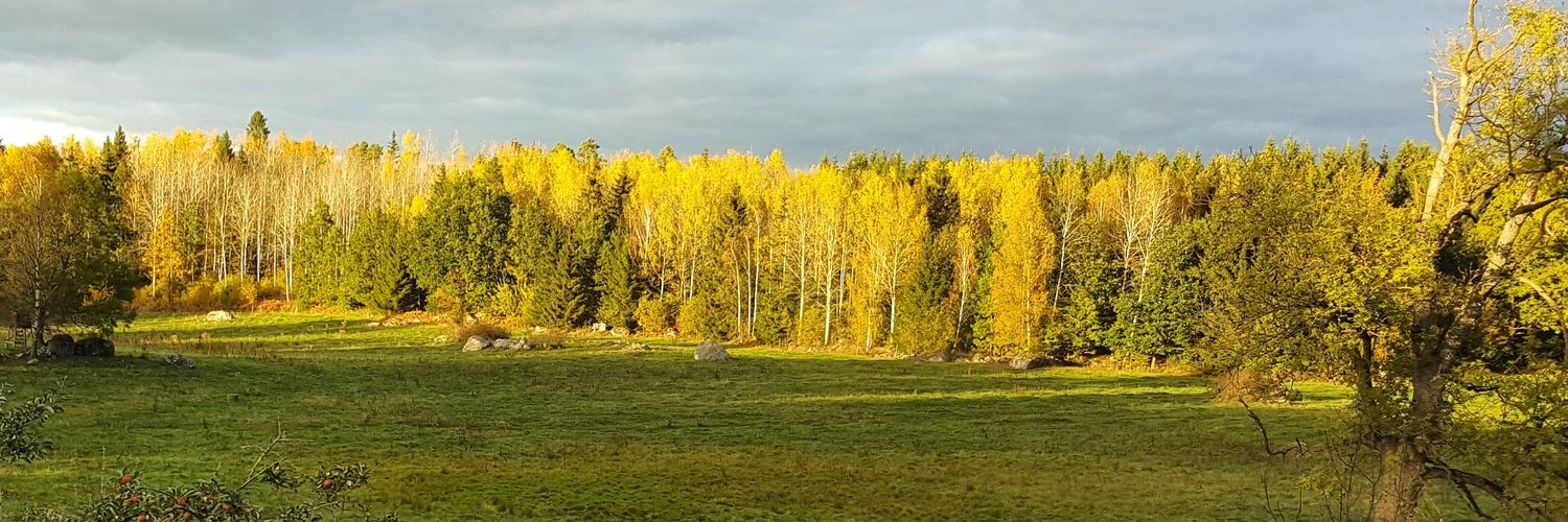 auddenberg's profile banner image