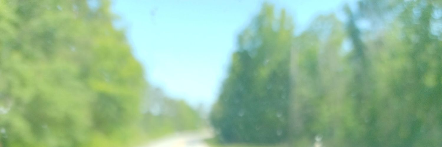 dakingisbac06's profile banner image
