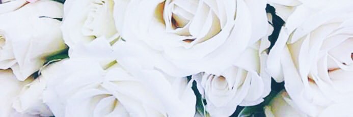 CheriseCalvert's profile banner image