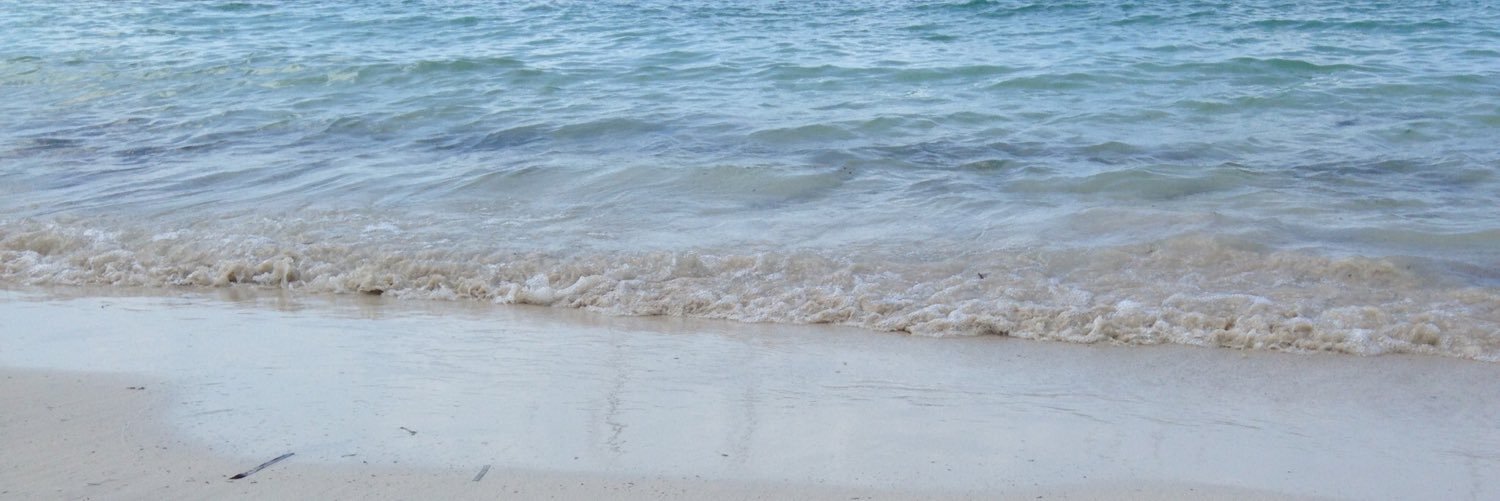 Xisco Dalmau /🚲🍉 banner