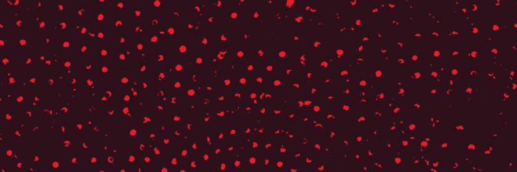 Los Espíritus banner