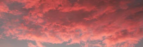 biancomicho's profile banner image