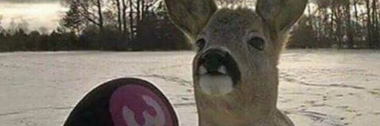 twiig2987's profile banner image
