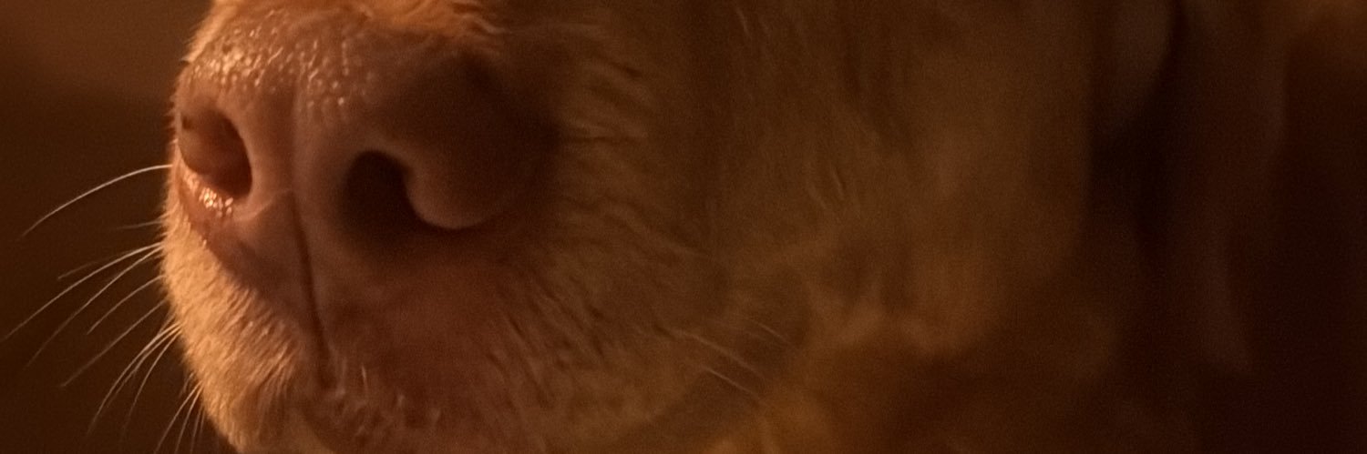 jossystm's profile banner image