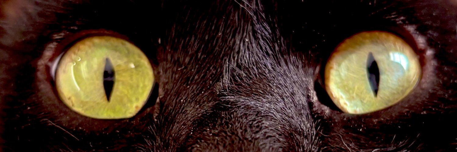 ezmegi's profile banner image