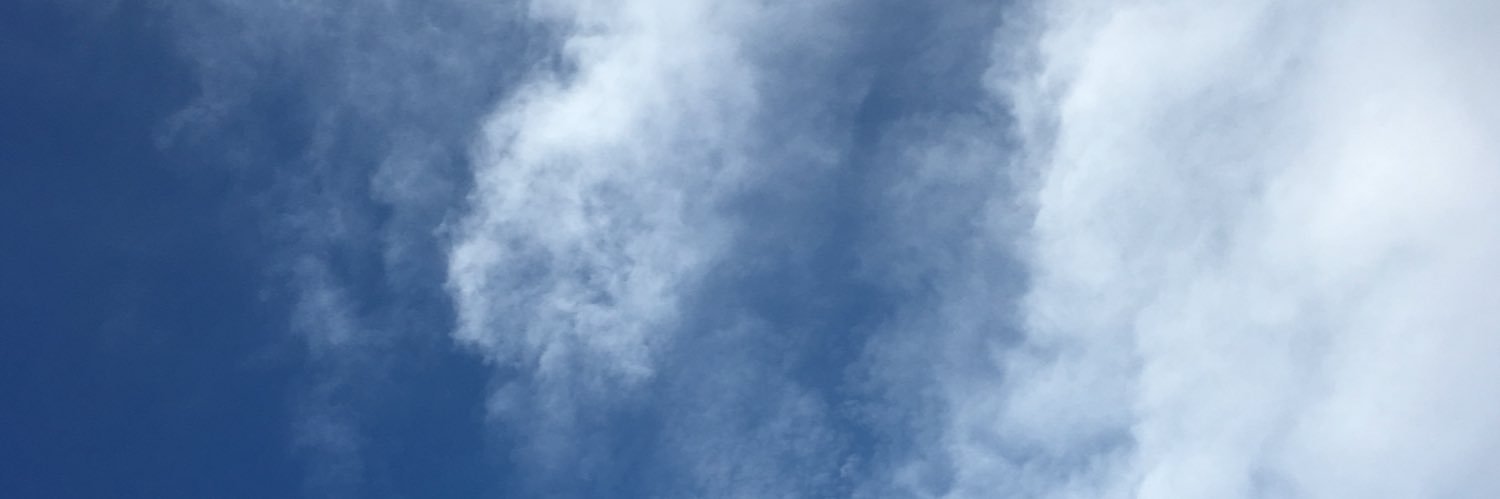 ED banner