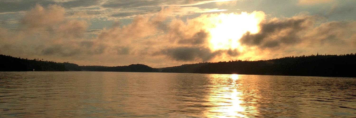 damothebear's profile banner image