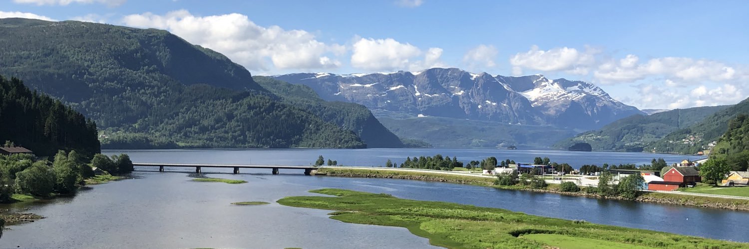 Anne-Grethe Naustdal banner