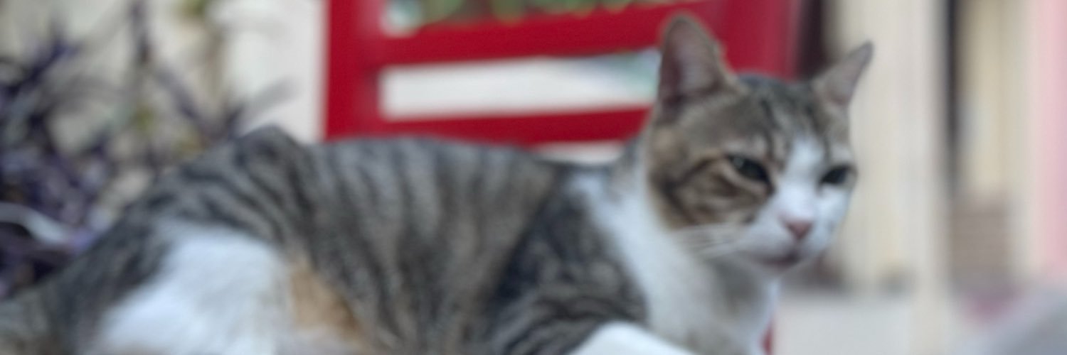 pappus_guldin's profile banner image