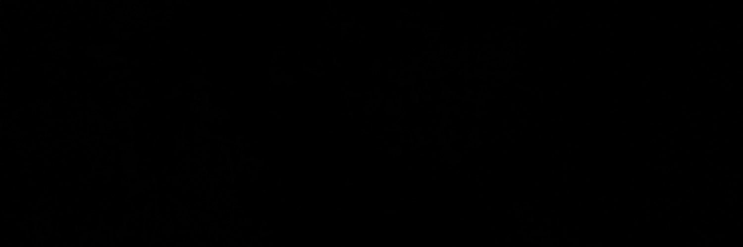 bdbush08's profile banner image