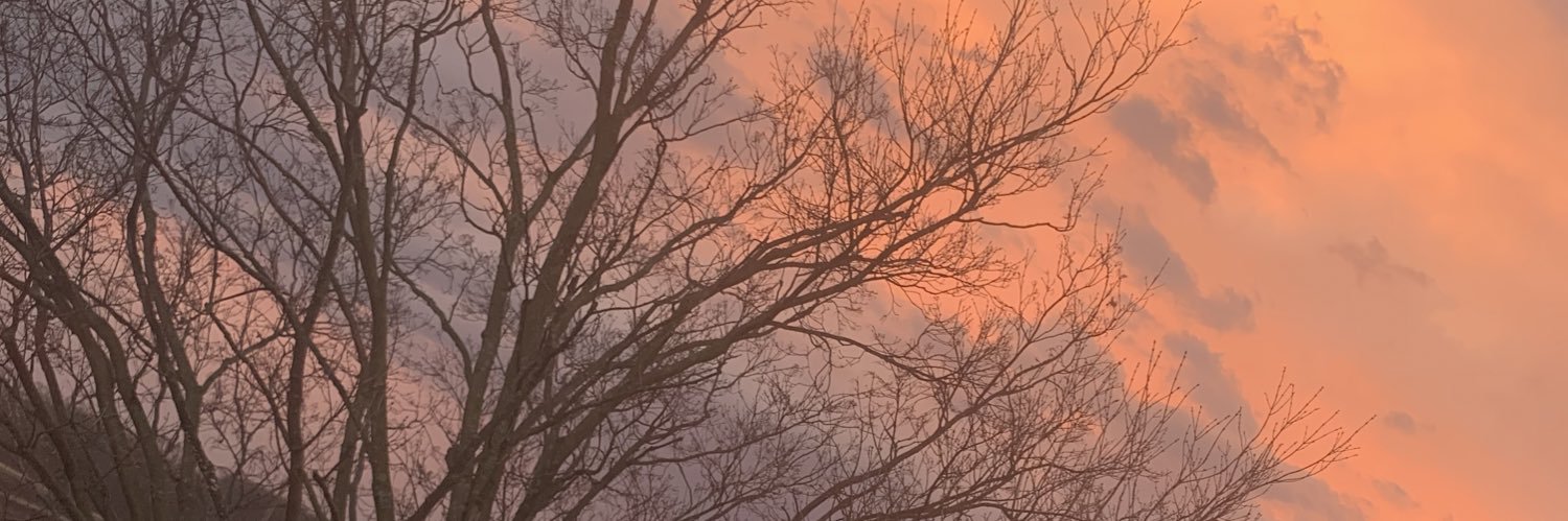 ryleekehoe's profile banner image