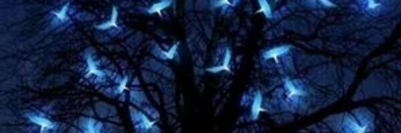 SemraMadran's profile banner image