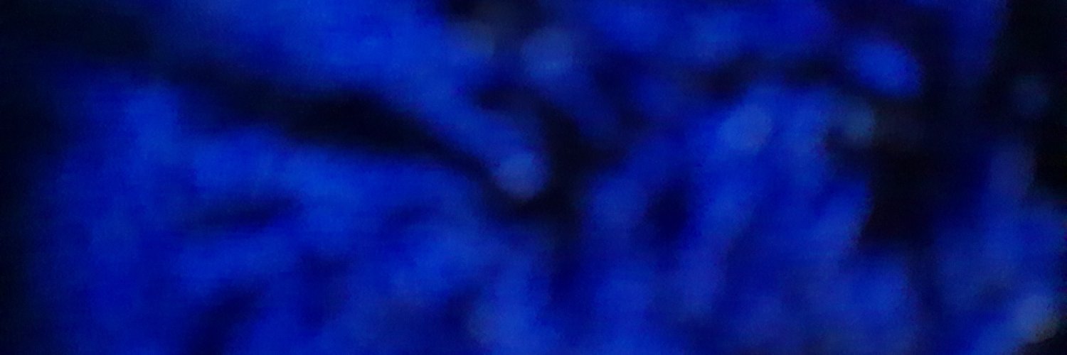 cornicity's profile banner image