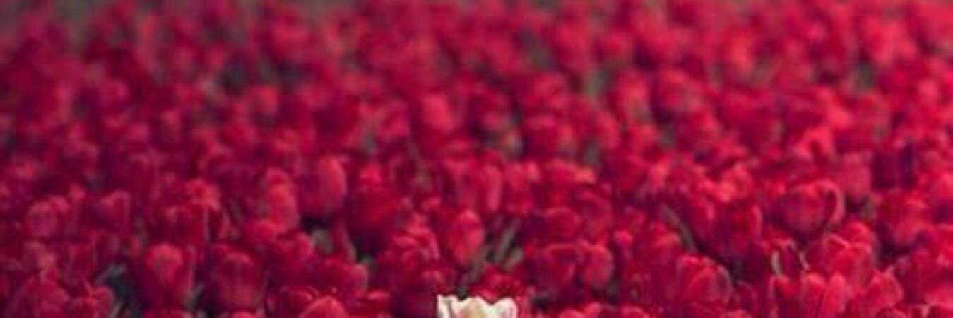 MariaLopezapata's profile banner image