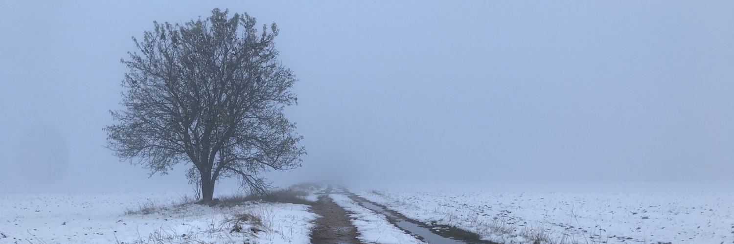 vctrgnz_'s profile banner image