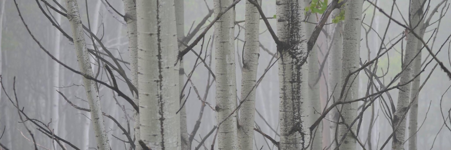 DrBAHuc's profile banner image