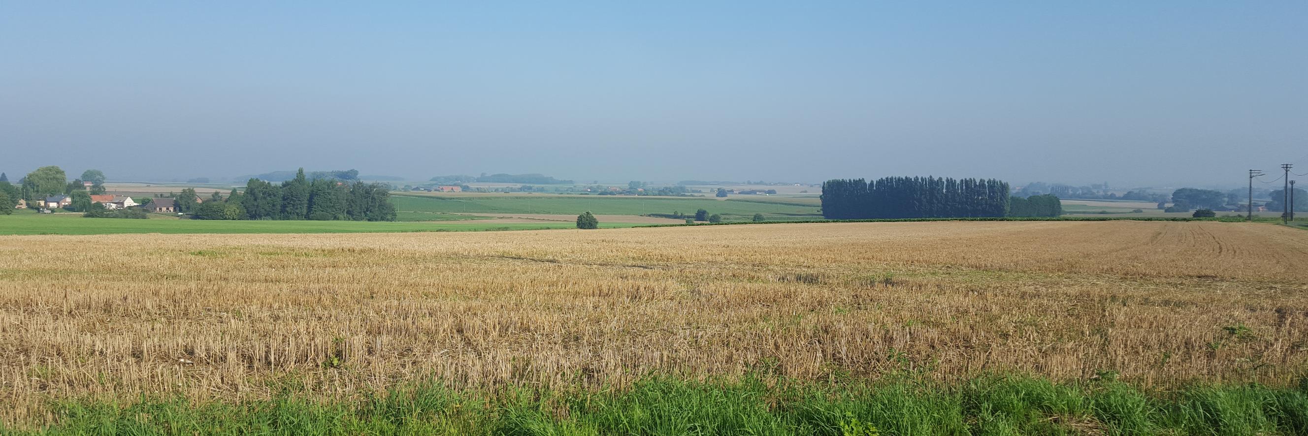 WouterBouckaert's profile banner image