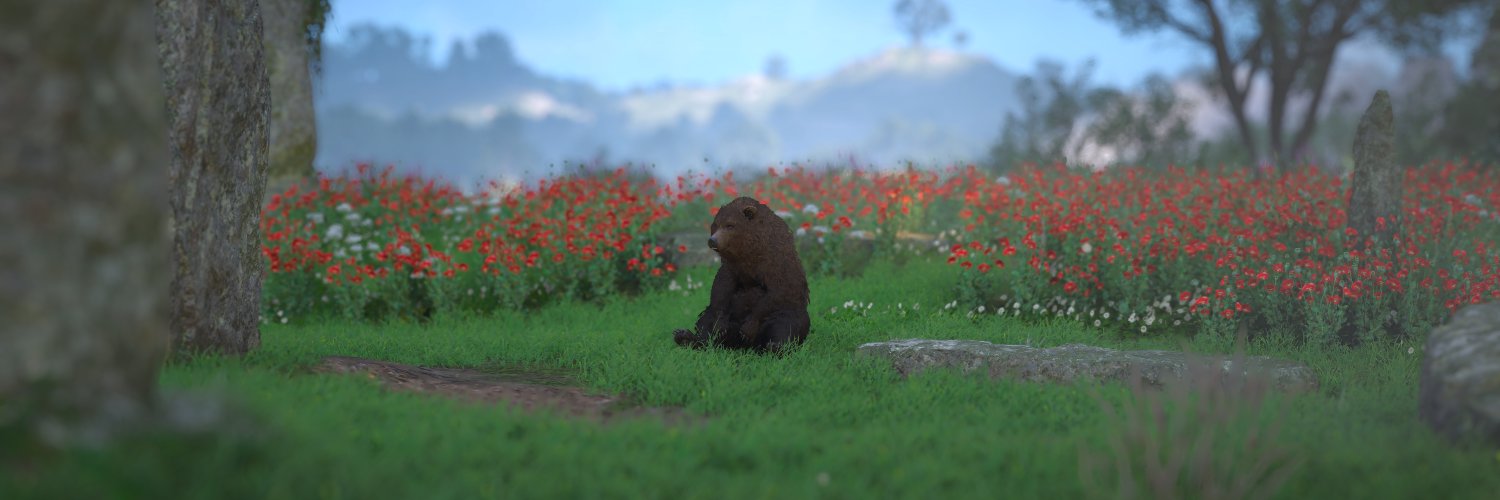 MissSnoCone's profile banner image