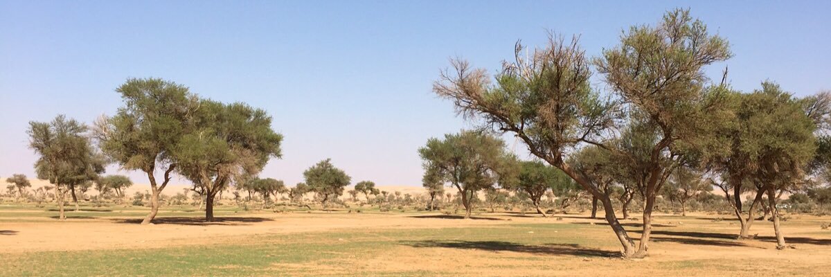 almh1394's profile banner image