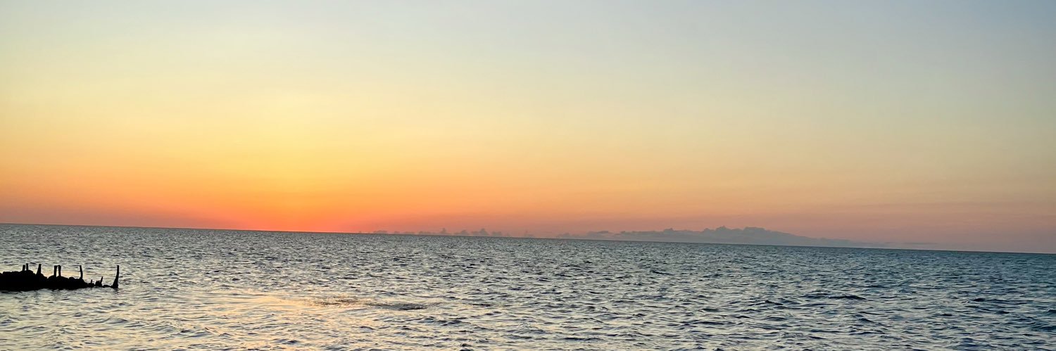 emm_leal's profile banner image