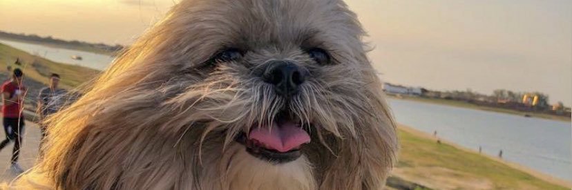 solmelissam's profile banner image