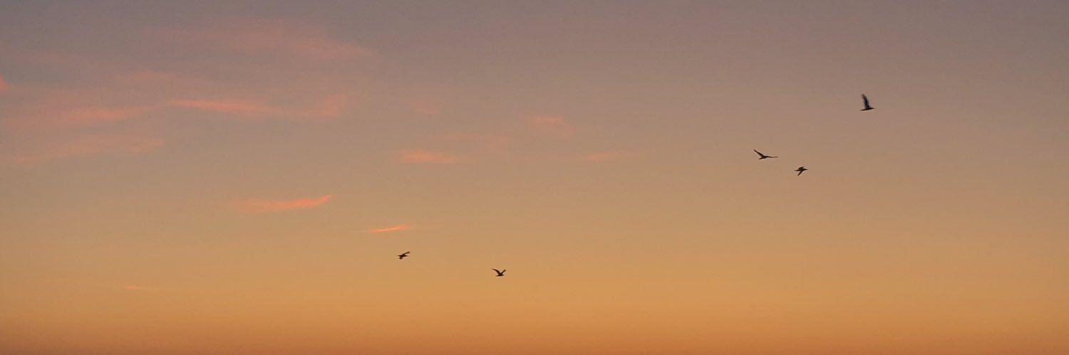 bel_amyy's profile banner image