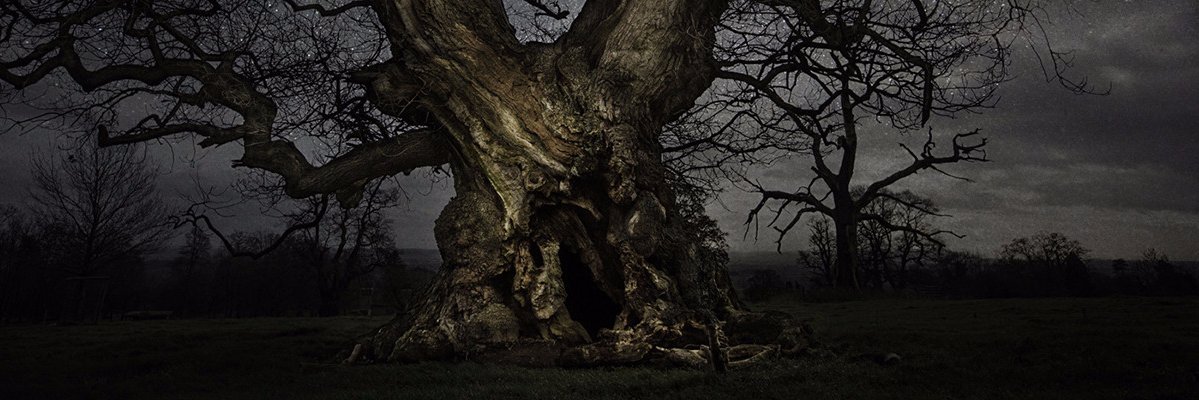 Kyle_sleeps's profile banner image