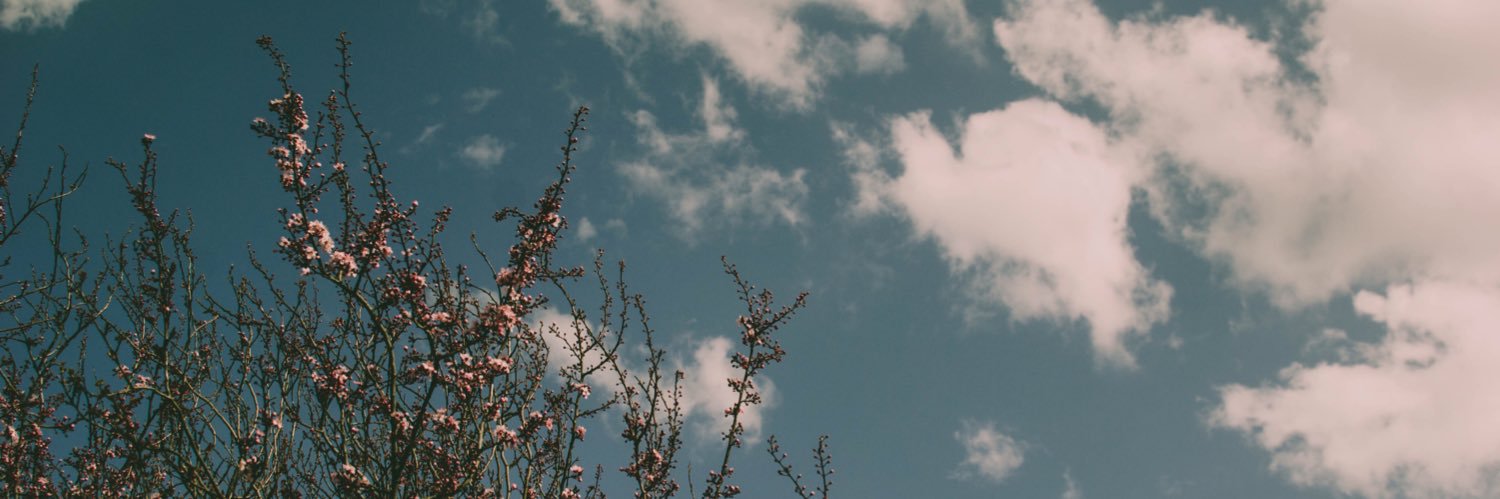 xSachie's profile banner image