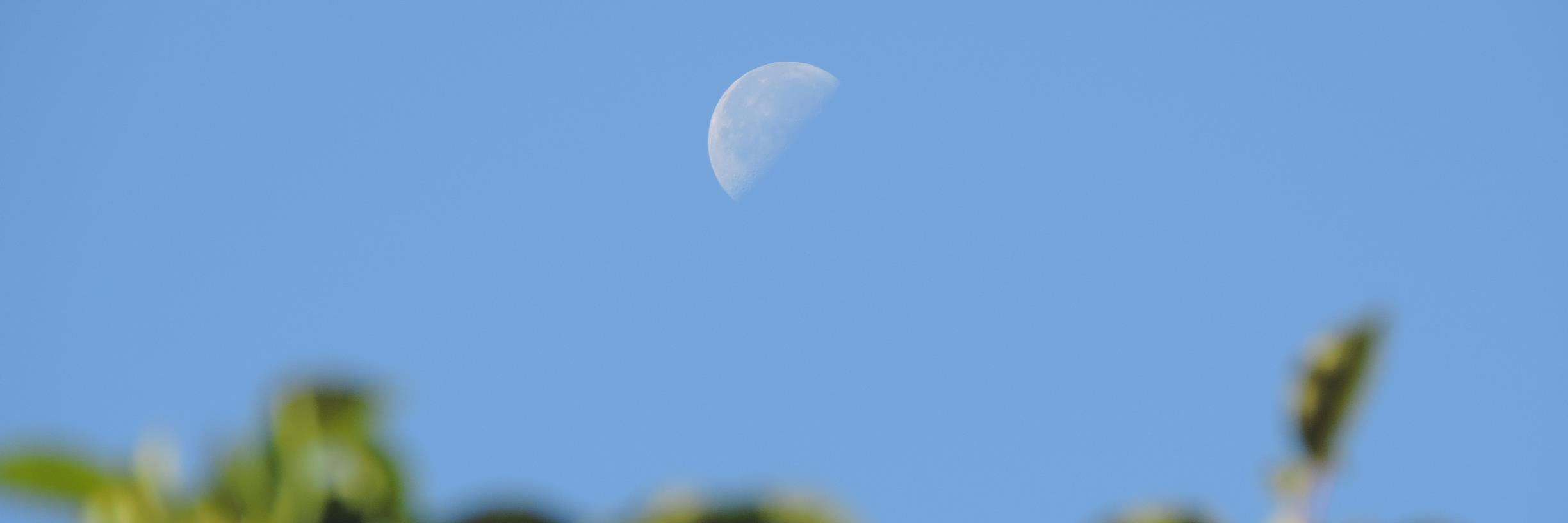 BLuhoway's profile banner image