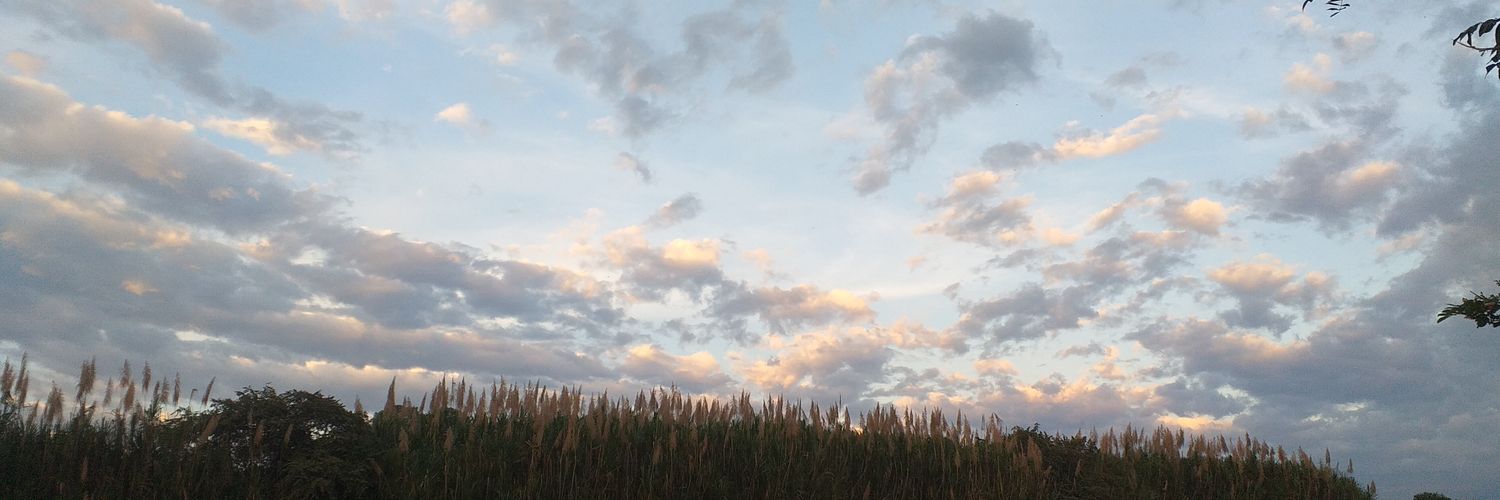 oficialscorpio's profile banner image
