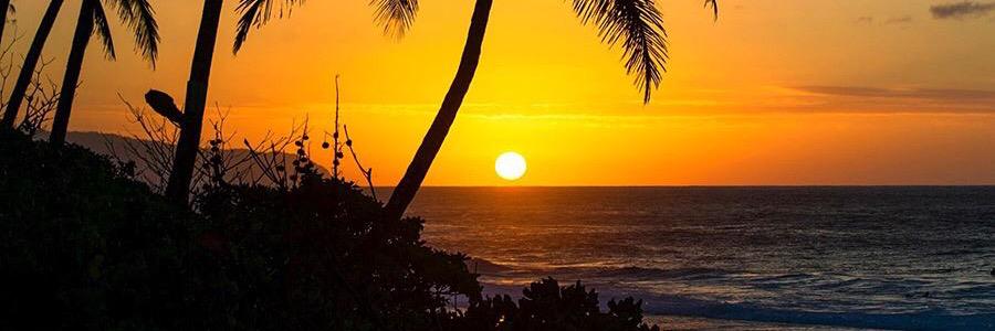 Daniel Kitchen banner