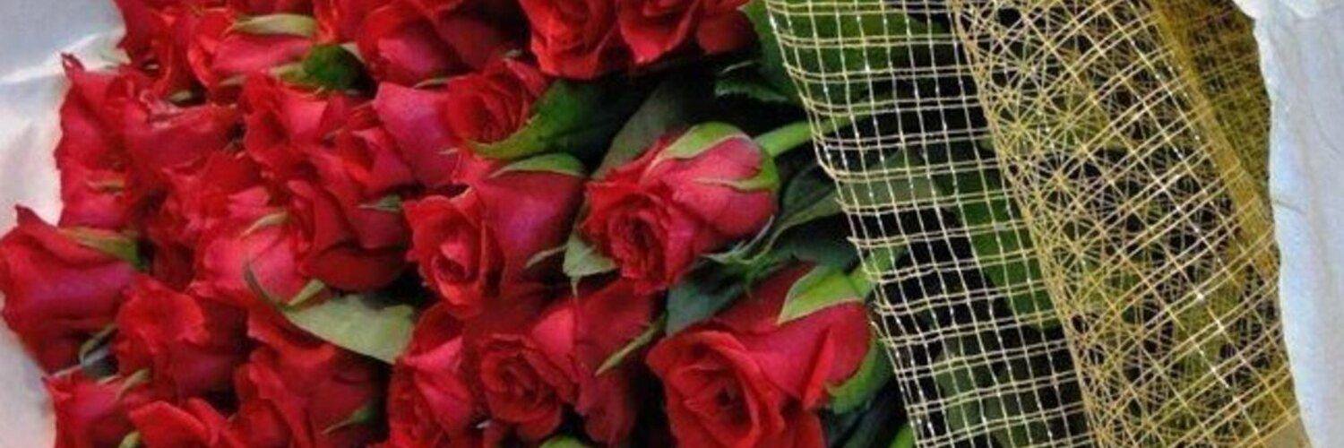 alaa_elshmry's profile banner image