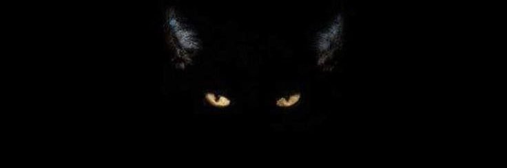mds_shadow's profile banner image