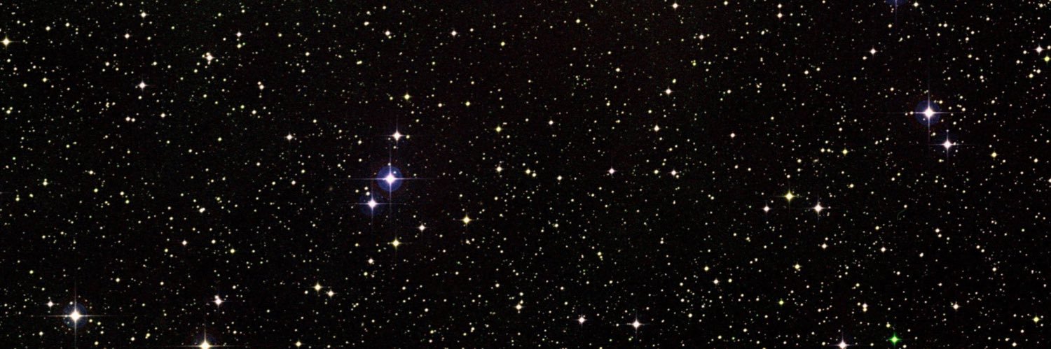 lizardlazzle's profile banner image
