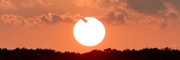 acealeam Profile Banner