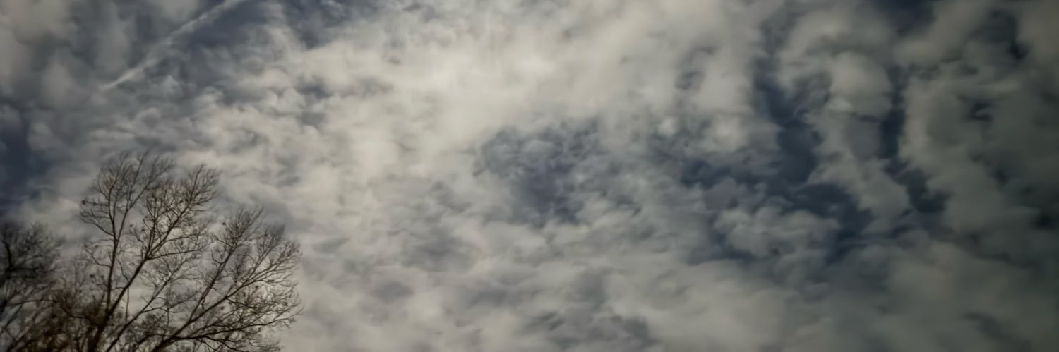 NotableNosh's profile banner image