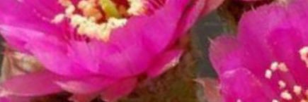 MuhammadAhmad69's profile banner image