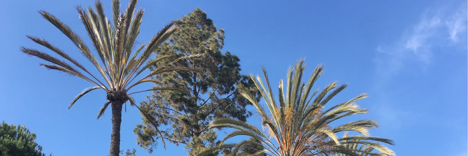 Caligirl8899's profile banner image