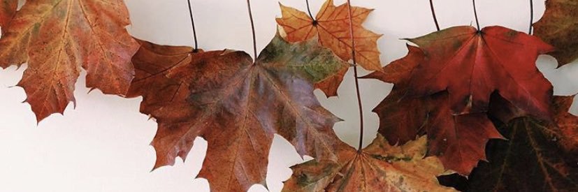 SusanDavies89's profile banner image